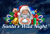 Santas Wild Night